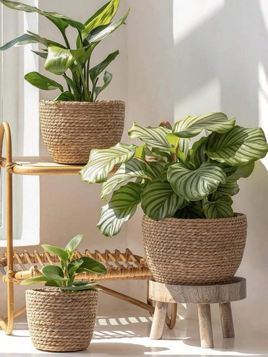 3PCS Straw Pot, Minmalist Soiid Coior Plant Container For Home