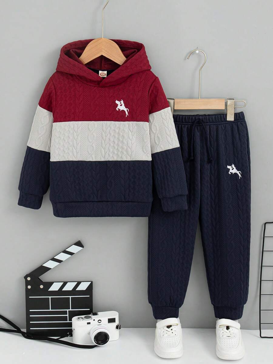 2pcs Young Boy Casual Color Block Hooded Long Sleeve Top And Drawstring Pants Set, Spring & Autumn Outfits
