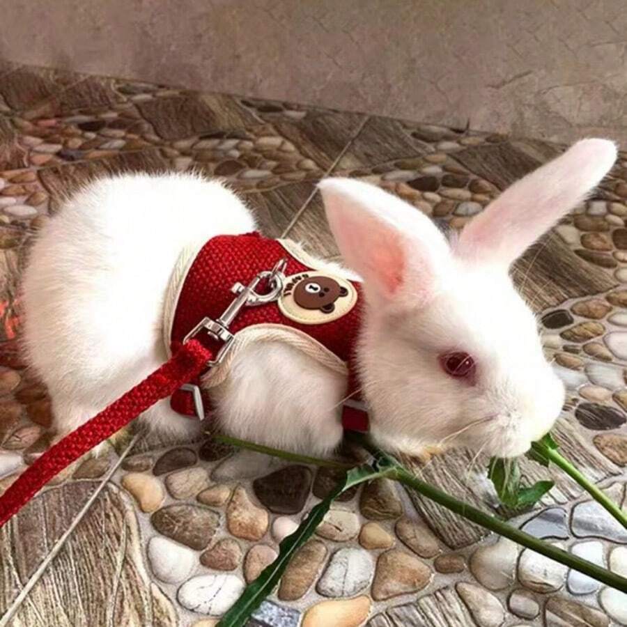 1 pieza Correa de conejo, arnés para mascotas, ajustable, tipo de espalda, tipo de chaleco, correa de pecho anti-escape, adecuado para gatos y conejos, correa para caminar, suministros universales para mascotas