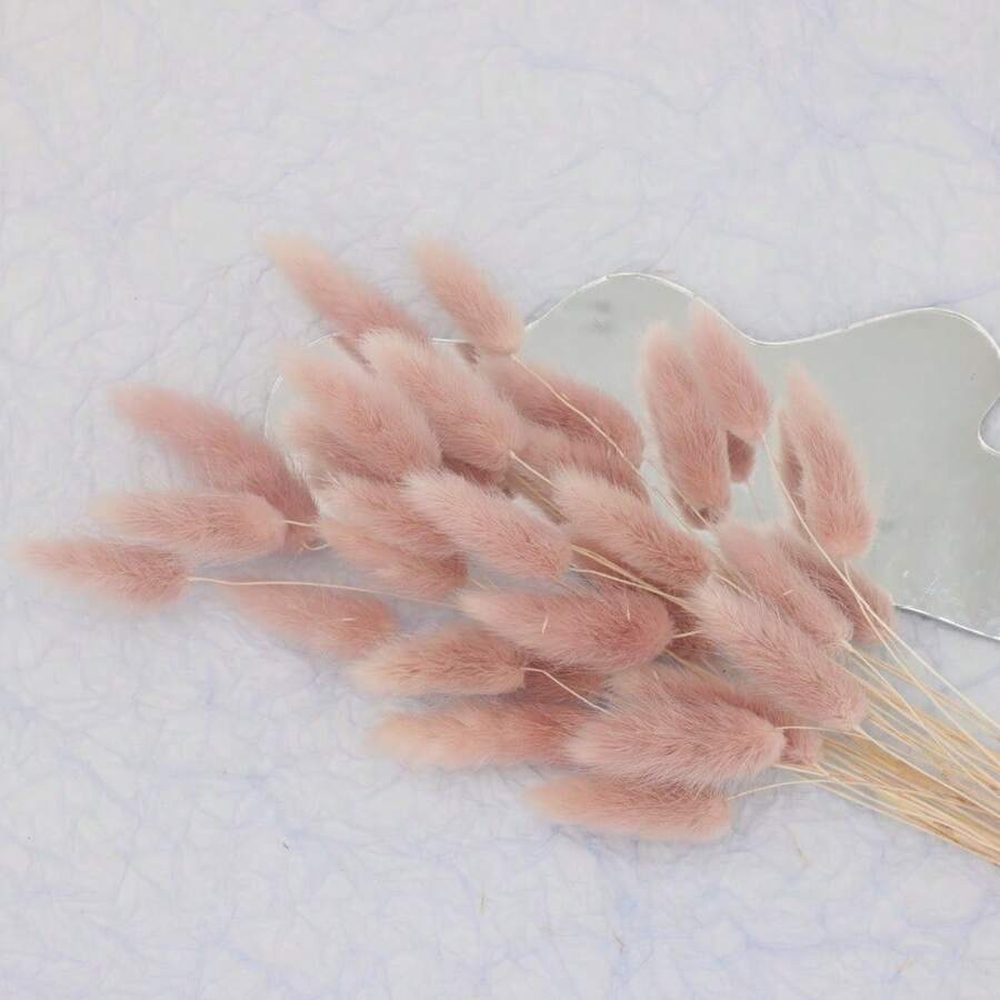 30 piezas, 90 piezas Flores secas natural de rabo de conejo para decoración del hogar elegante bohemia, decoración de otoño, bodas, arreglos florales y manualidades DIY