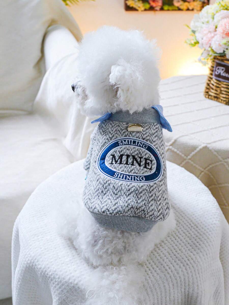 1 pièce de vêtements pour animaux de compagnie, tenue 2 en 1 avec broderie pour chien/chat
