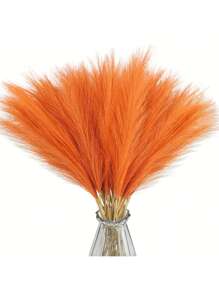 Orange Color
