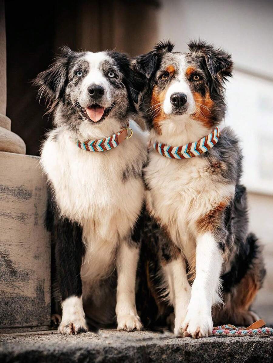 1 pièce Collier de chien ajustable fait main en matériau bicolore en PVC, laisse de luxe vintage pour animaux de compagnie