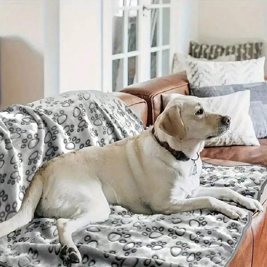 1 pièce Couverture pour animal de compagnie avec empreinte de patte, jeté en peluche chaud pour chiens, chats, lapins en automne et en hiver
