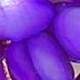 Morado