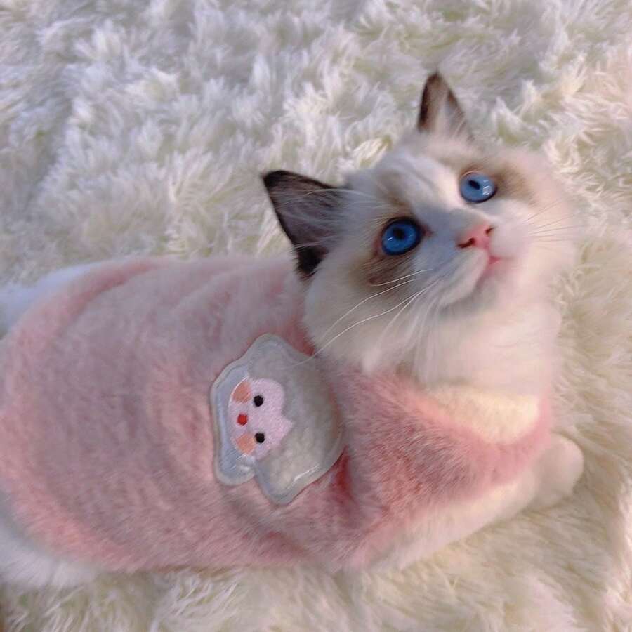 Pet Clothes, Cat Clothes, Autumn/Winter Cat Vest, Warm & Cute Plush Cat Outfit