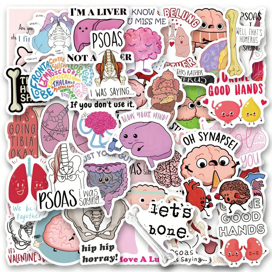 60 Piezas Pegatinas con chistes de anatomía - Pegatinas de vinilo estéticas para scrapbooking, diario, portátil, parachoques, monopatín, botella de agua, ordenador, teléfono, dibujos animados, casco, pegatinas y calcomanías de coche: anatomía, pegatinas de anatomía, pegatinas, pegatinas de enfermería, pegatinas sarcásticas, pegatinas divertidas de memes