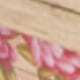 roze bloem