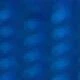 azul real