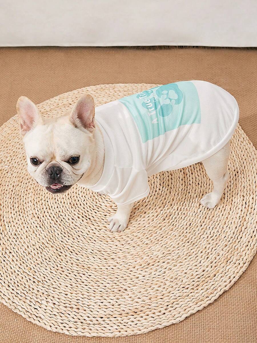 Vêtement classique de couleur unie avec imprimé de patte pour animaux de compagnie. Chemise à quatre pattes en maille respirante pour l'été, pour Caniche, Bichon Frisé