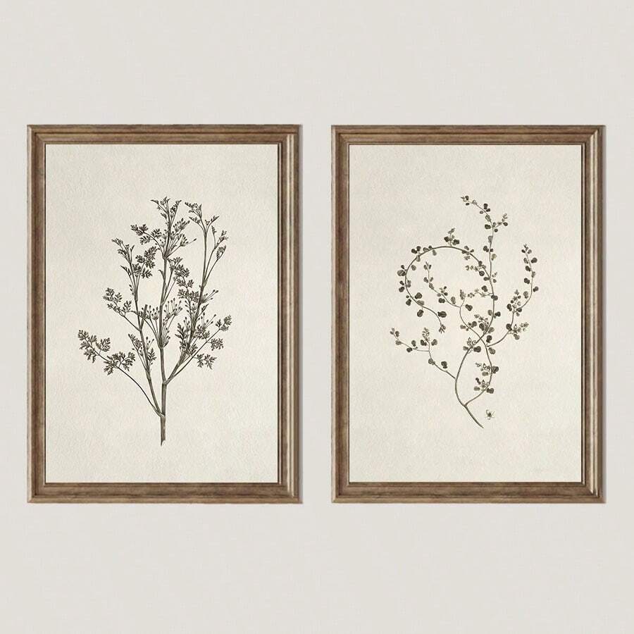 1 pieza sin marco, Pósteres de plantas vintage, Impresiones en lienzo de botánica del campo francés, Decoración de flores, Arte de pared en lienzo para vivero, Pintura artística de pared como regalo, para dormitorio, baño, sala de estar, decoración de pared, hogar y decoración de dormitorio