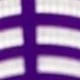 Purple 1