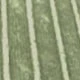 Grün