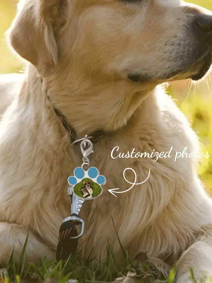 1 Special Pet Photo Keychain - Customizable Stainless Steel Paw Print Keychain Plaque, Engraved Pet Tag Collar Pendant, Perfect For Commemorating Your Beloved Pet, Suitable For Animal Enthusiasts