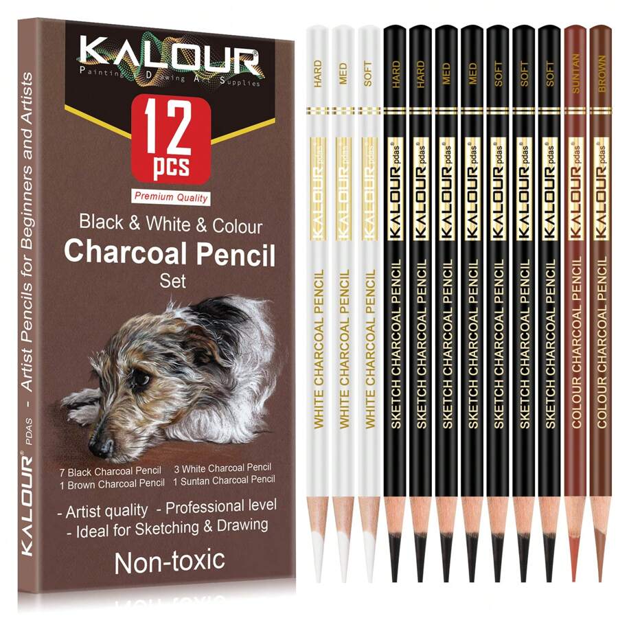Professional Colored Charcoal Pencils Drawing Set,12 Pieces Pastel Chalk Pencils For Sketching, Shading, Blending, Portrait, Black White Charcoal Pencils For Beginners & Artists,Back To School,School Supplies