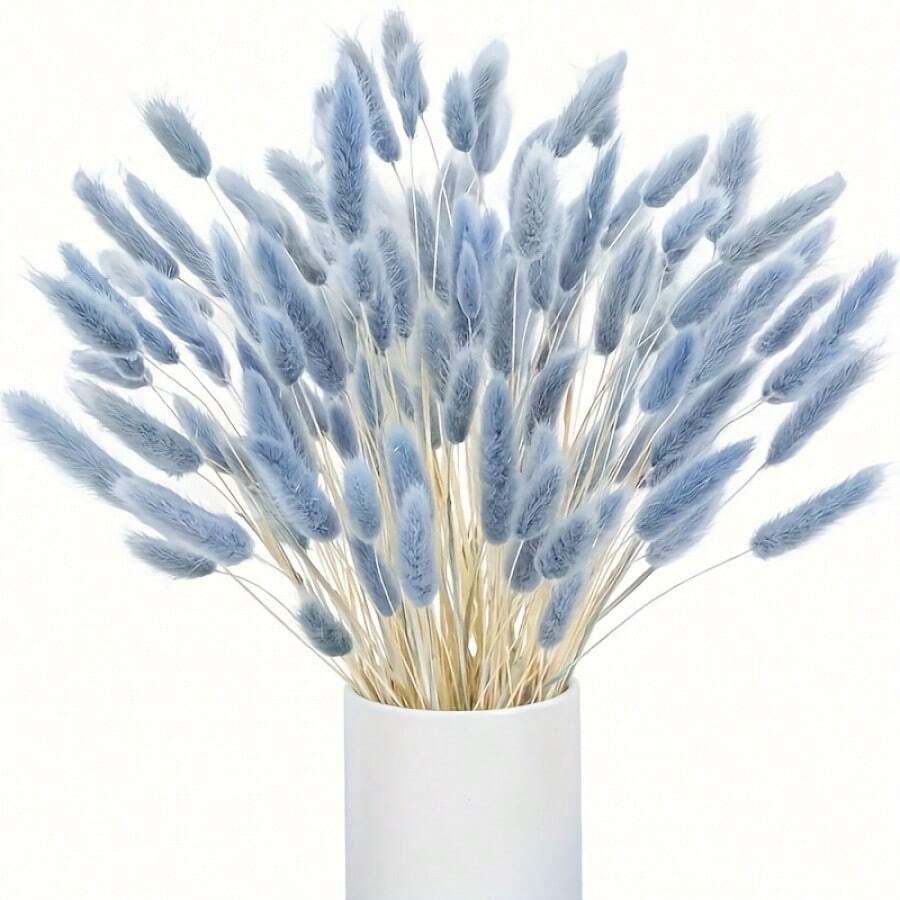 60/100 pezzi di fiori secchi di Lagurus Ovatus soffici di colore blu chiaro, coda di coniglio, per decorazioni boho in casa, matrimoni, tavolo da pranzo, raduni di fattoria, regali per feste, compleanni, lauree, decorazioni autunnali