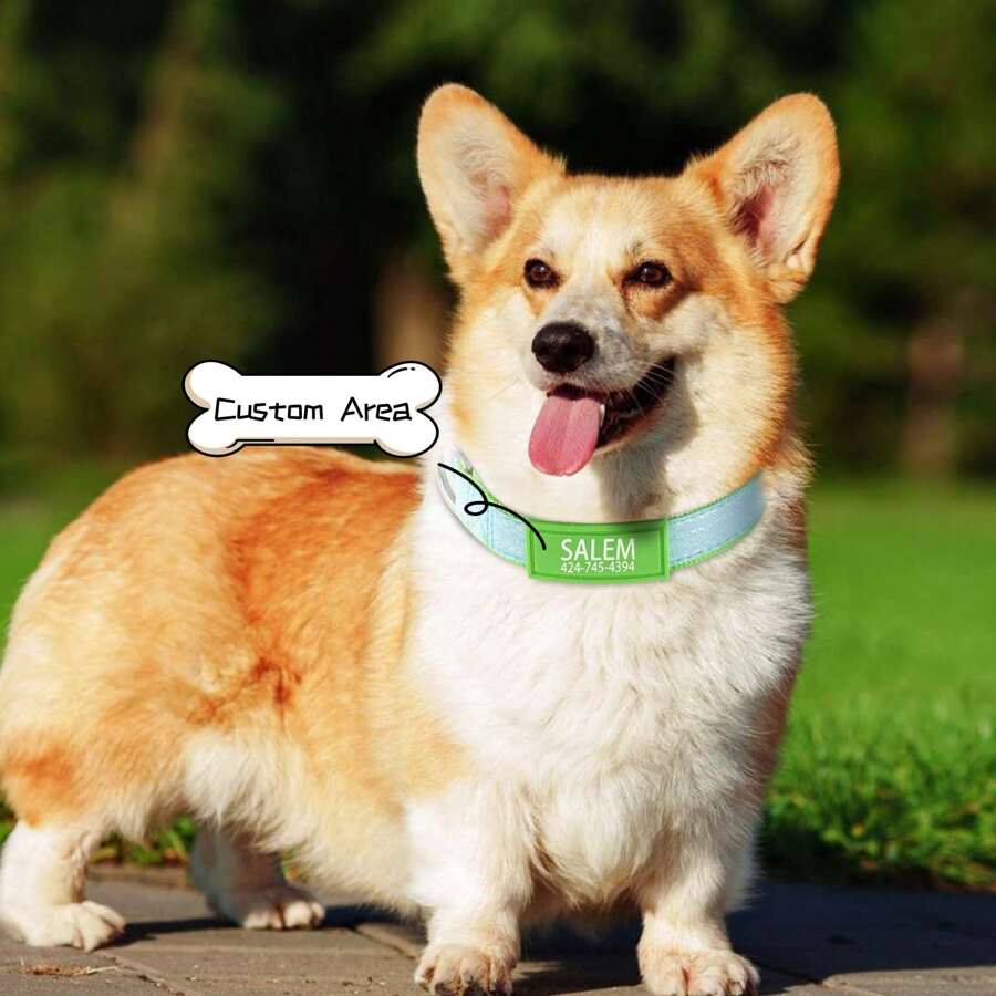 Rokhevn 1 pieza Collar personalizado para perro con nombre e información de contacto impresa en UV - Collar de seguridad de nailon reflectante visible de noche, hebilla ajustable, soporte para etiqueta de identificación de mascota