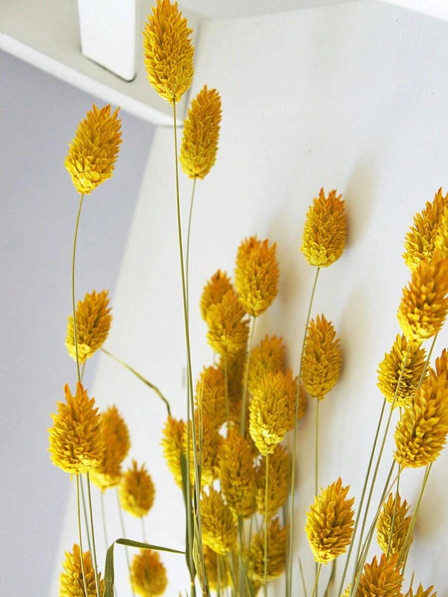 25/50/100 piezas Flores secas de gemas/Flores Everlasting, opciones de multicolor, para decoración del hogar, decoración de jarrones, ramos DIY, decoración de pasteles