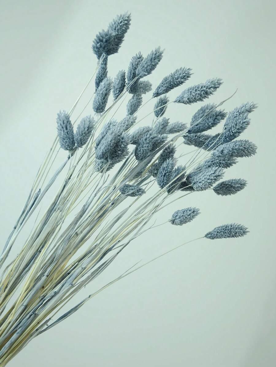 25/50/100pcs Assorted Colors Gem Grass Dried Flowers/Everlasting Flowers For Home Decor, Vase Decor, DIY Flower Bouquets, Cake Decorations Gifts Birthday Graduation,Fall Decor,Autumn
