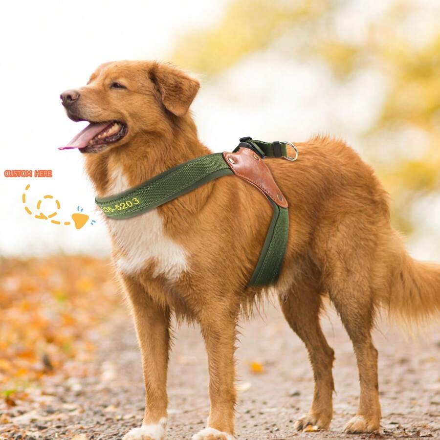 Rokhevn 1 pièce Harnais de poitrine en nylon personnalisable pour animaux de compagnie, avec doublure en mousse confortable, convient aux chiens de grande, moyenne et petite taille, avec texte personnalisable