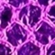 Violet Purple