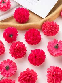 Rose vif