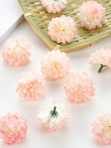 rose blanc