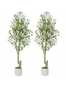 5ft(2pcs)