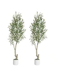 6ft(2pcs)