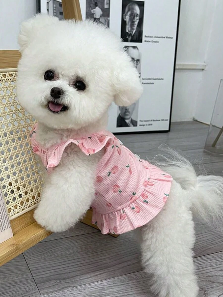 Ropa de mascota (gato/perro pequeño) con estampado de oso a rayas de colores, chaleco delgado para primavera/verano y otoño/invierno