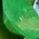 Light Green AB Grass Green AB