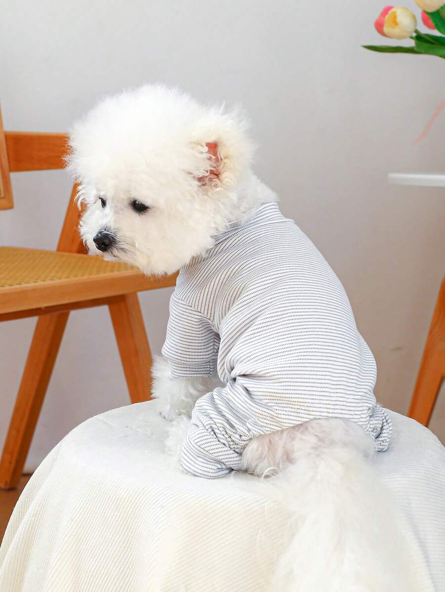 PETCIRCLE 1 pieza Ropa para mascotas para perros y gatos pequeños, atuendo fresco y lindo, ropa de interior cálida y cómoda, otoño/invierno