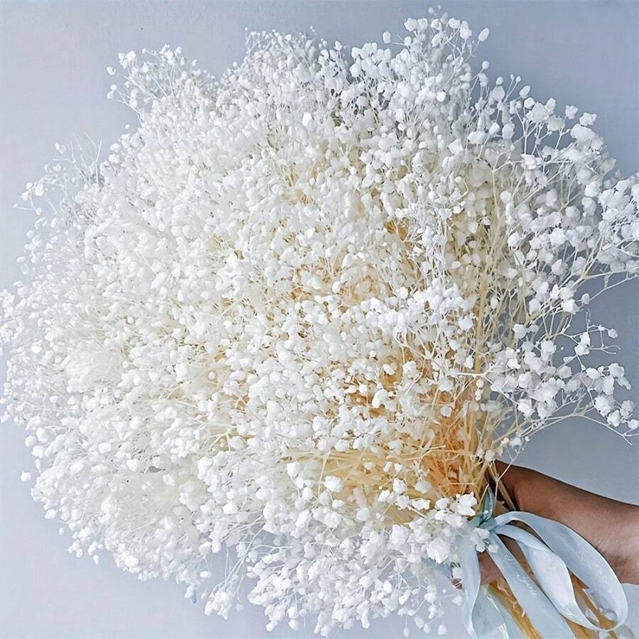 80G Dried Bouquet Gypsophila Paniculata White Suitable For Wedding Decorations Home Decorations Candle Making And Home Decoration | Housewares Ideal For Weddings, Valentine'S Day, Christmas, Thanksgiving Gifts Birthday Graduation