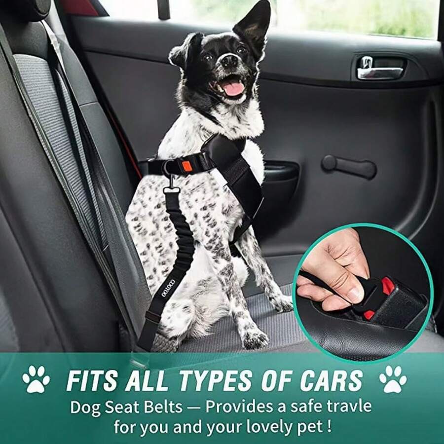1 pieza Cinturón de seguridad retráctil para perros, correa de seguridad para mascotas de nailon ajustable para automóvil, cinturón de seguridad para vehículos de perros de alta resistencia y elástico
