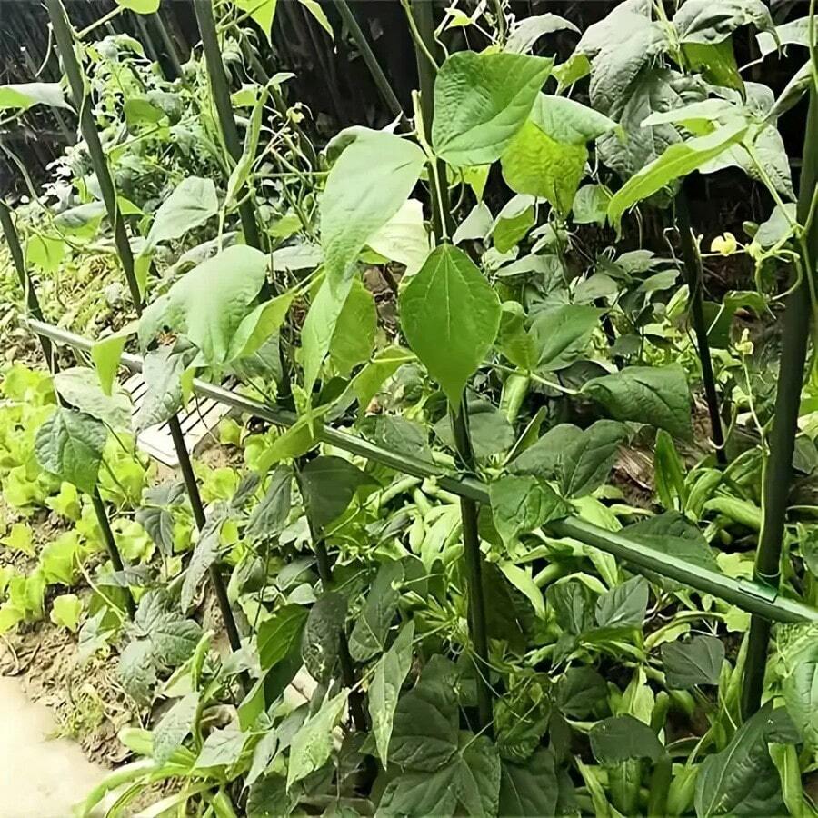 8 pezzi Tubo in plastica e acciaio da 1,1 cm, supporto da giardino per arrampicata delle piante, pergolato di supporto per fiori