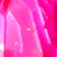 Rosa Fucsia