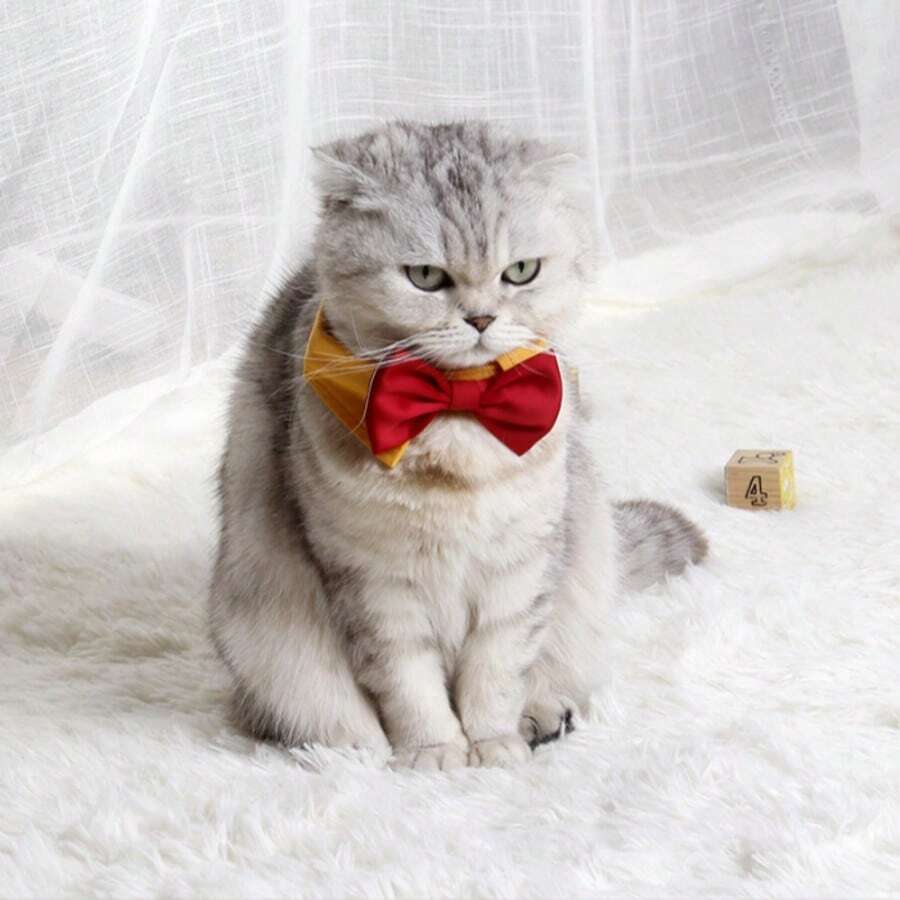 Collier cravate de compagnie ajustable à la mode - Nœud papillon de couleur unie pour animal de compagnie, à simple épaisseur, décoration pour animal de compagnie avec nœud papillon de performance , convient aux petits et grands chiens et chats