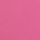 Rosa Fucsia