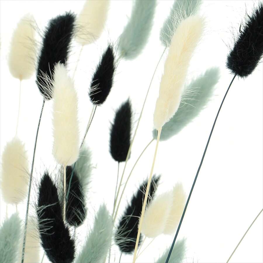60 pièces de lagurus bohèmes séchés - parfaits pour les mariages, la décoration de style ferme et la décoration de la maison, avec accessoires pour la photographie, boîte cadeau, collier, broche, bougie, fleurs diffuseur