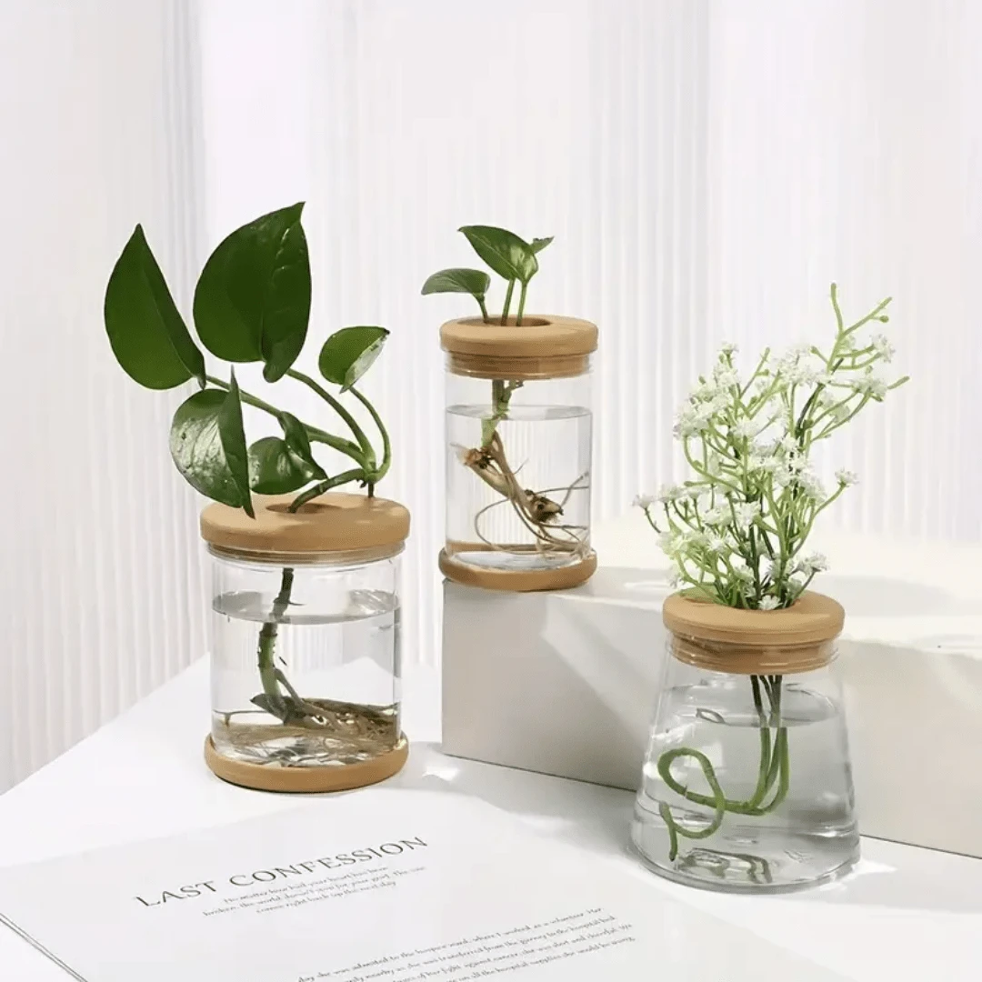 1 pieza Maceta de plástico transparente de cultivo hidroponía con depósito de agua, maceta de plástico + tapa de plástico para plantas sin raíces