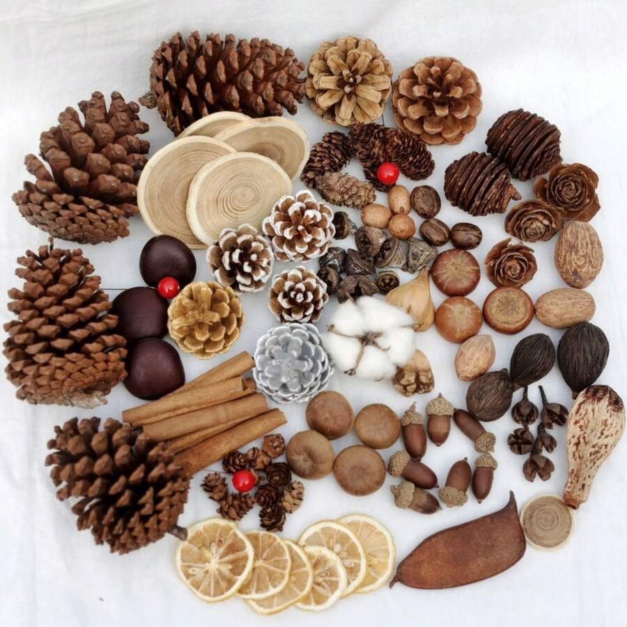 1 set van 5 stuks natuurlijke kaneel, anijs, citroen, chrysant, magnolia, goudsbloem, kumquat gedroogde bloemen voor geurverspreider, geschikt voor handgemaakte aromatherapiekaarsen, zepen, ambachtelijke decoratie