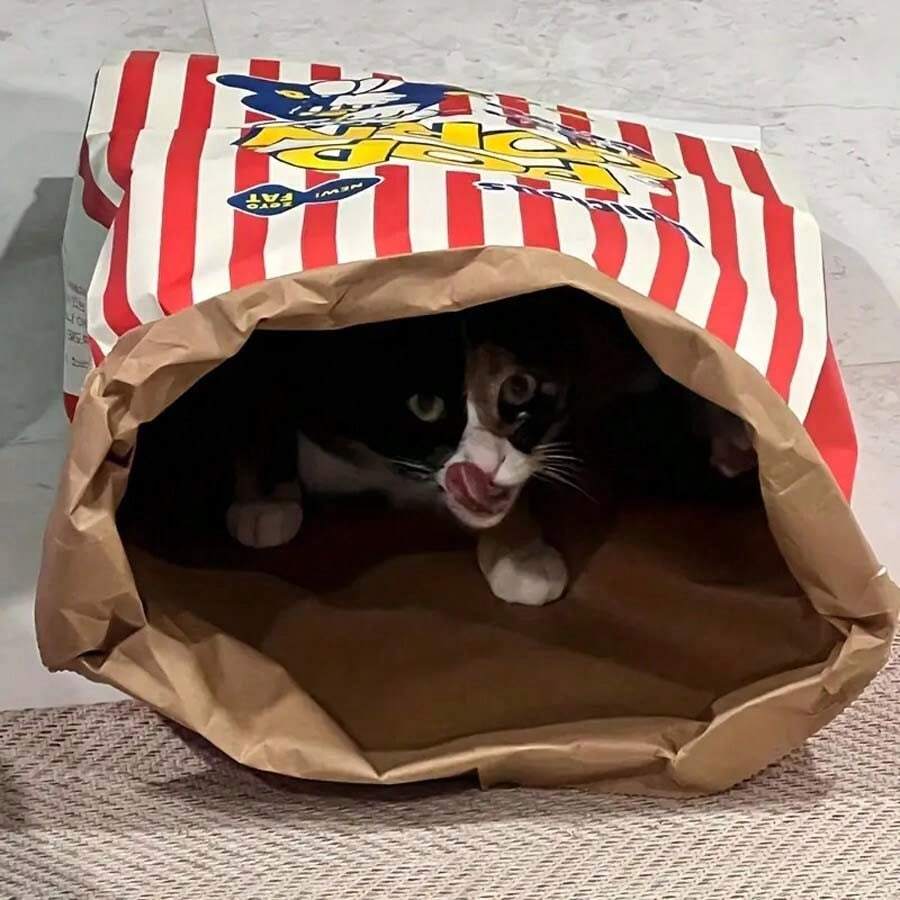 1pc Creatieve "Crispy Fresh" Papieren Popcorn Doos Papieren Zak Speelgoed, Geschikt Voor Katten En Honden - Karton, Stressverlichtend Puzzel Speelgoed, Geen Batterij Nodig, Binnen Katten Speelgoed