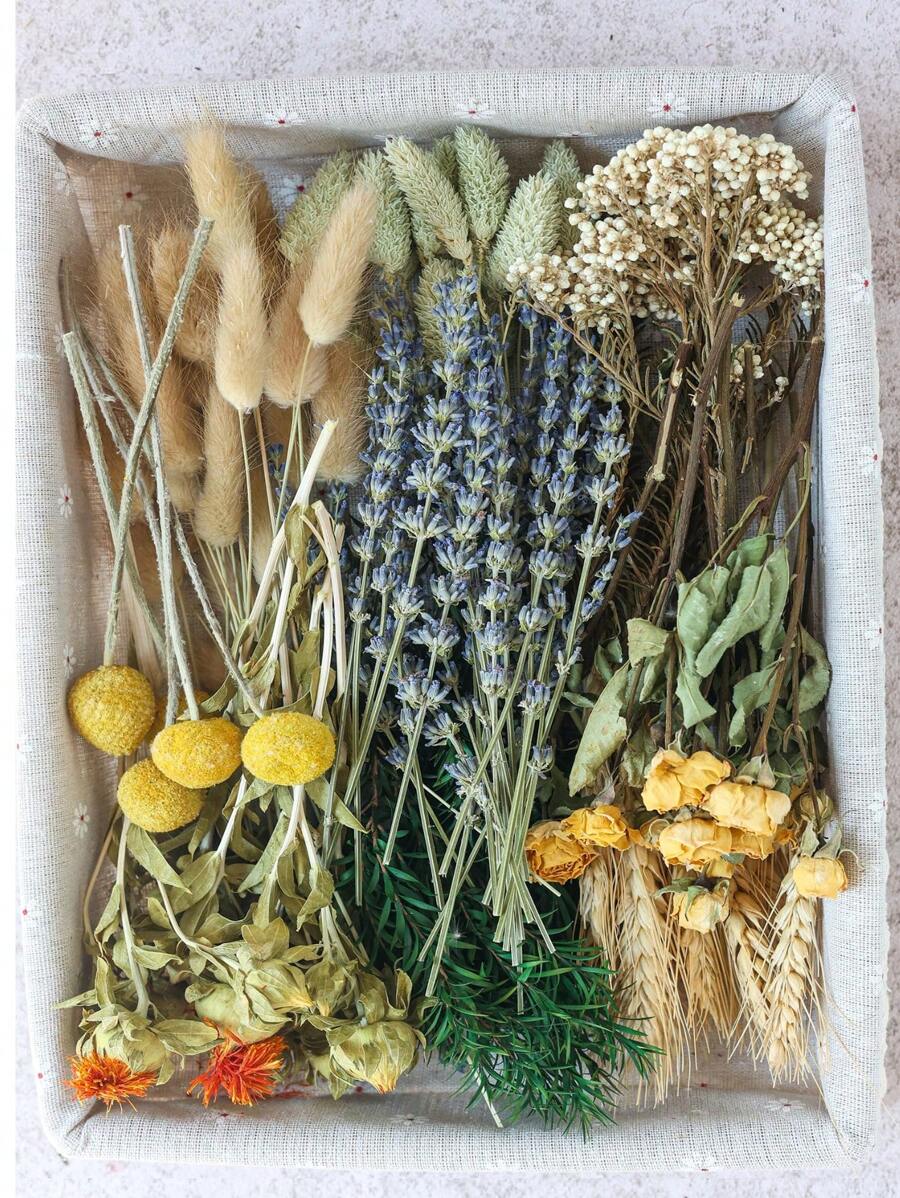 Set di fiori secchi, fiori secchi grandi, decorazioni autunnali, set di profumo floreali fai-da-te, ghirlanda da appendere alla parete, decorazioni da tavolo, mini regali di fiori secchi per compleanni e lauree, decorazioni da giardino, piante da esterno, giardinaggio, fiori finti, decorazioni autunnali