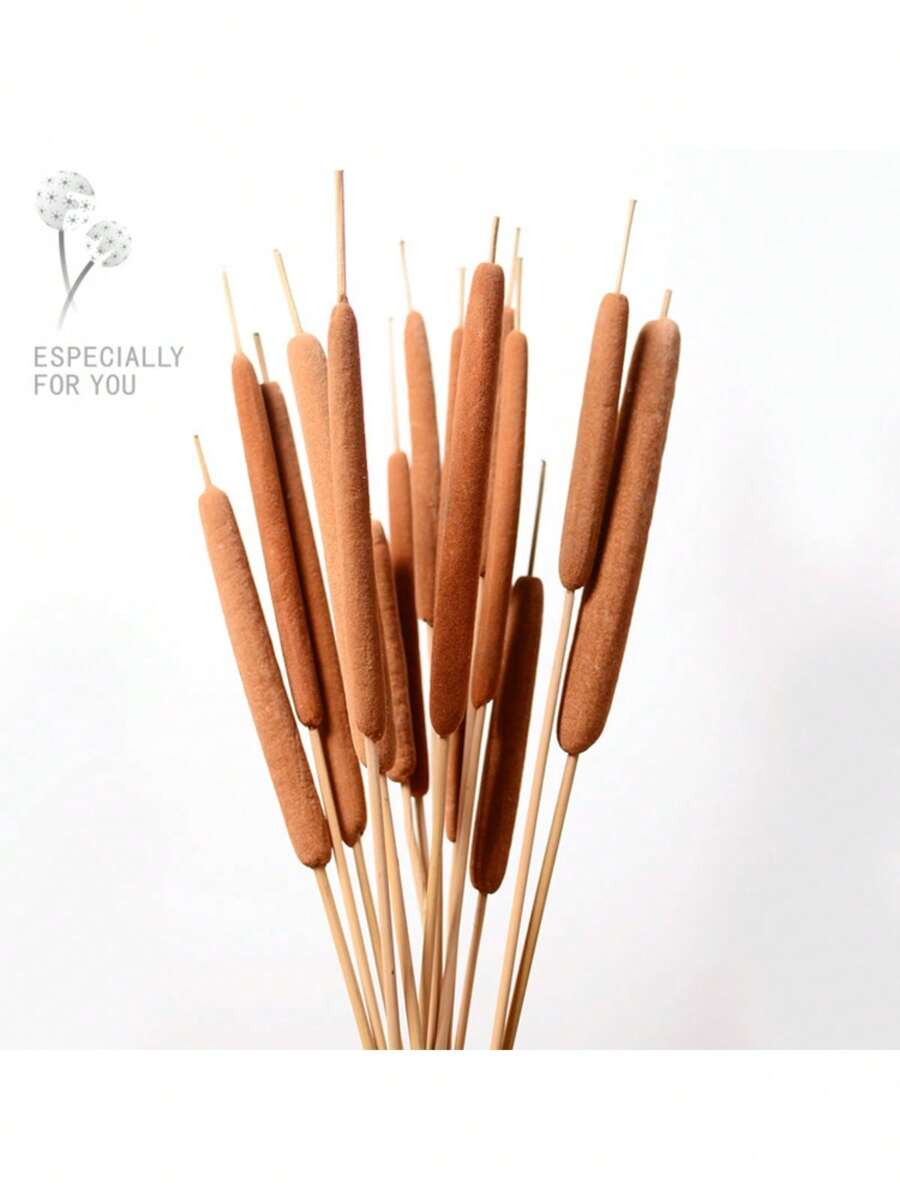 10PCS Dried Natural Brown Cattails Flowers -Real Broadleaf Pencil Cattail Stems Bundles, 17'' Bulrush Plants Dry Flower For DIY Floral Arrangements, Wedding Home Office Gardens Decor Spring Decorations