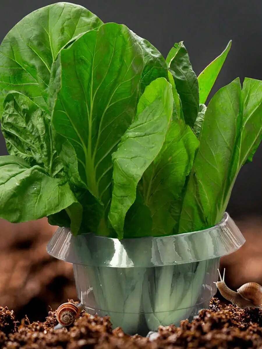Vegetable Protection Cage, Thicker Snail-Proof Seedlings Guard, Round Plant Grow Tent For Gardening, Pest & Disease Prevention