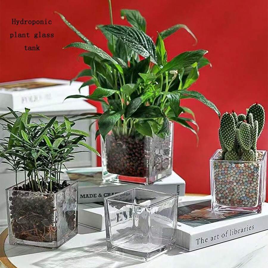 1 pieza Jarrón cuadrado de vidrio, maceta decorativa transparente para hidroponía para flores, suculentas y planta del dinero