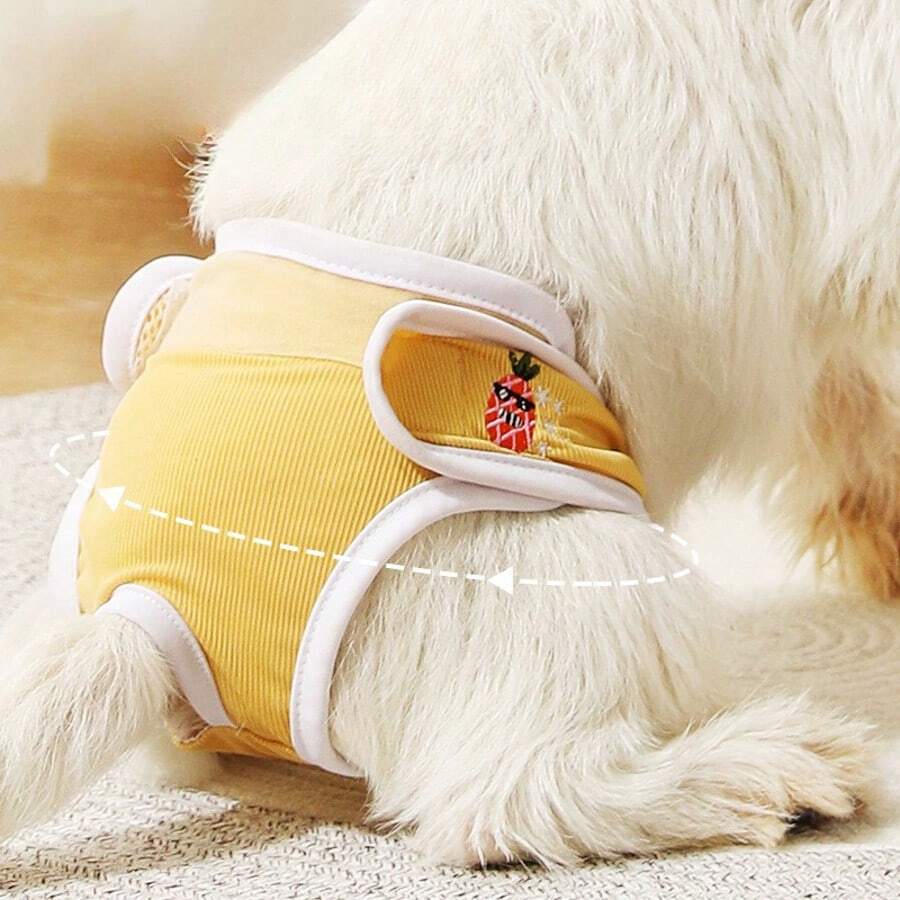Culottes pour chien pendant les règles Sous-vêtements pour animaux de compagnie femelles Pantalons de règles pour chat ou chien