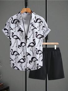 Black and White