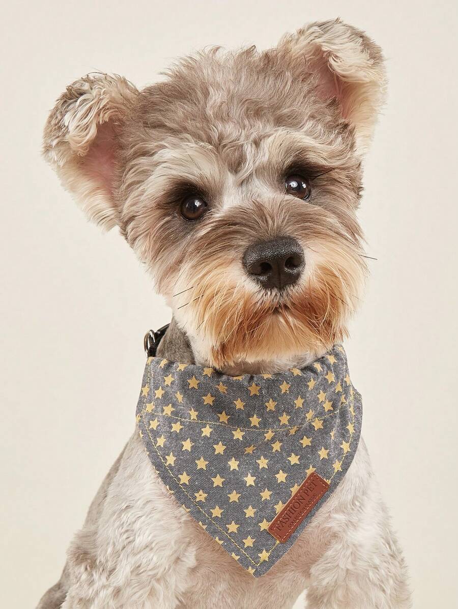 1pc Star Pattern Bib With Leash Clip, Suitable For Pet Decoration And Outdoor Walking, Letter Is Random, Stitching Color Is Random