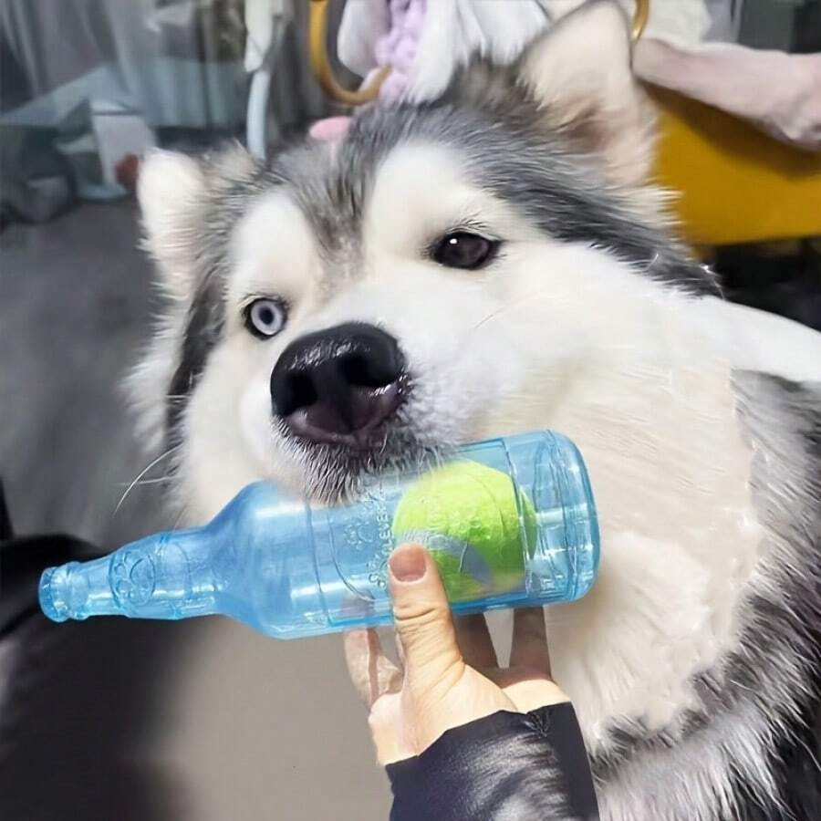 1 pièce Jouet pour les amoureux des chiens et les mamans de chiens, jouet à mâcher en caoutchouc thermoplastique avec motif unicolore, nettoyage des dents, sans batterie, recommandé pour les amoureux des chiens et les mamans de chiens de taille moyenne, cadeau interactif pour les amoureux des chats/chiens et le jeu d'amour des animaux de compagnie des mamans de chiens/chats avec son - couleur aléatoire